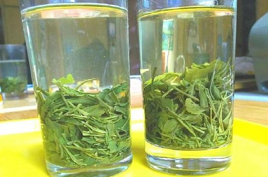 茶葉為什么不能亂送人，買茶葉一次送一盒還是兩盒