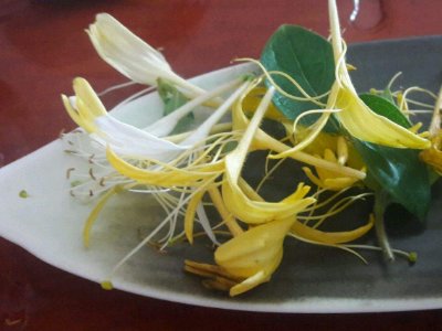 喝茶治口臭嗎，什么茶治口臭好？