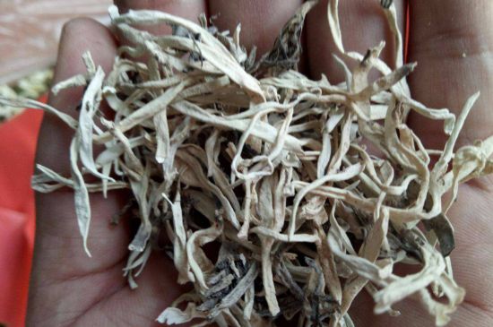 麗江雪茶的禁忌，白雪茶的副作用