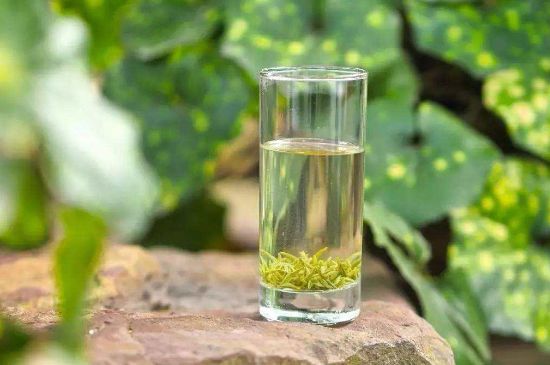 碧螺春沖泡三要素，碧螺春怎么泡才正確？