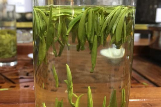 雀舌茶的副作用，雀舌茶什么人不能喝？