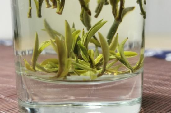 黃山毛峰怎么沖泡，黃山毛峰要多少溫度的水泡？