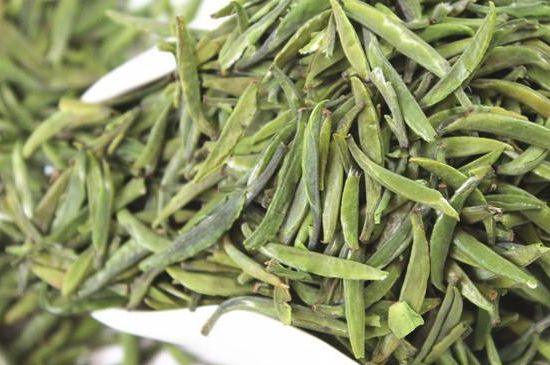 雀舌茶什么人不能喝，雀舌茶的功效與禁忌