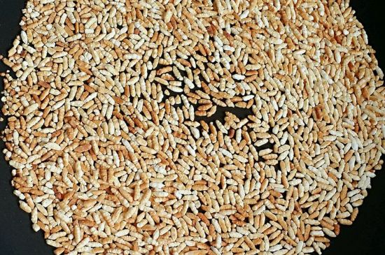 玄米茶是紅茶嗎，玄米茶怎么喝