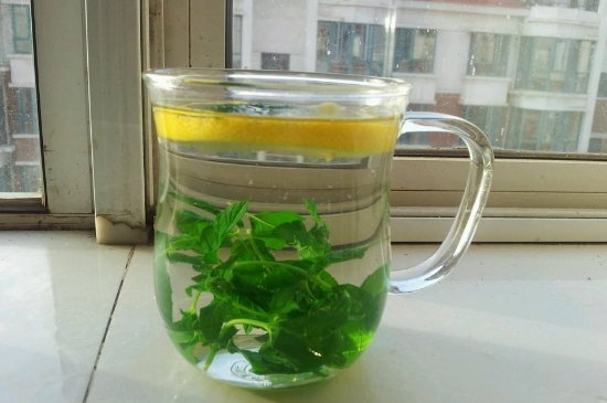 薄荷茶的功效與作用，喝薄荷茶有什么好處？