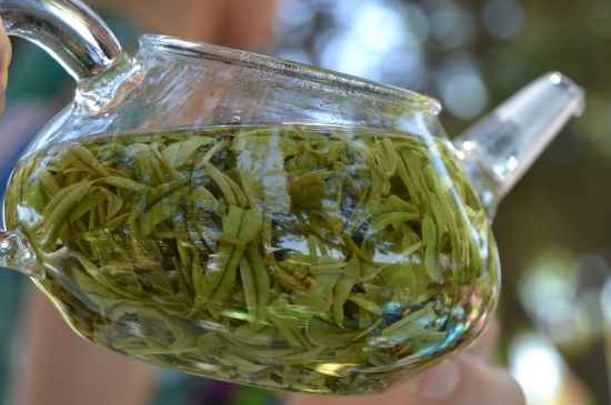 新手學(xué)泡茶的基本常識(shí)，從零開始學(xué)泡茶