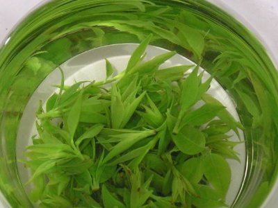 茶葉具有什么功效，茶葉的功效與作用大全