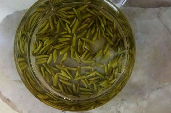 茶葉在哪里買比較好，哪里能買到好的茶葉