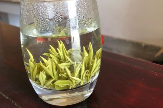 安吉白茶耐寒嗎，白茶適合放冰箱嗎