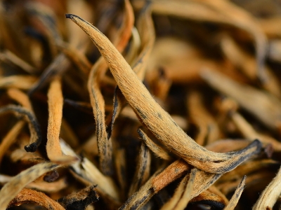 怎么知道什么茶葉適合自己，怎么判斷自己適合喝什么茶？