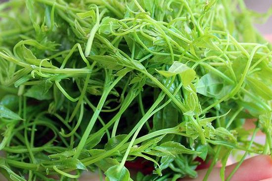 茅巖莓茶保質(zhì)期有多久，張家界莓茶存放時間長了還能喝嗎？