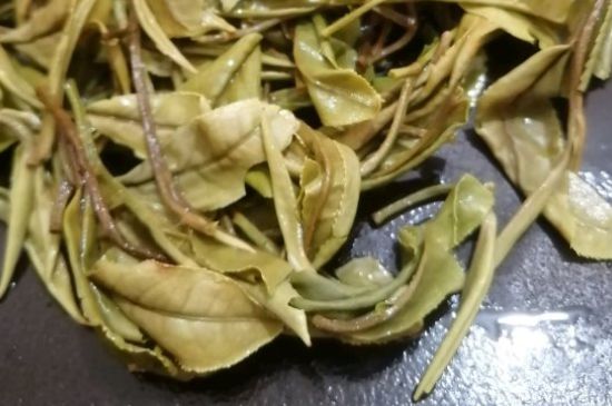 春茶上市白茶的好壞怎么區(qū)分，春白茶怎么分辨好不好？