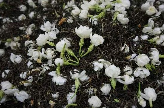 茉莉龍珠怎么做的，茉莉龍珠的制作工藝