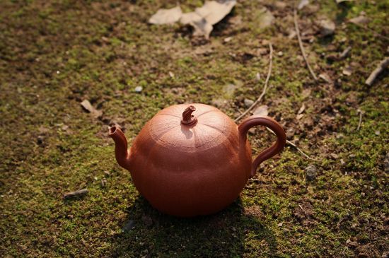 紫砂壺泡什么茶最佳，紫砂壺一般泡什么茶？