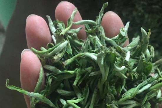 茉莉茶如何制作曬干，自制茉莉茶的做法