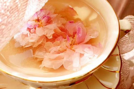 玫瑰花茶一周喝幾次，玫瑰花茶可以天天喝嗎？