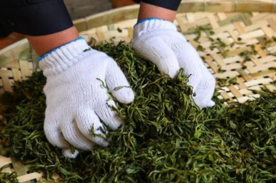 綠茶加工工藝流程圖，綠茶的加工制作包含哪幾個步驟？