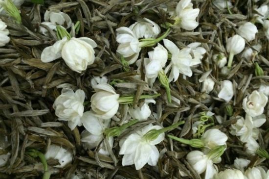 茉莉銀針口感，茉莉銀針是什么味道？