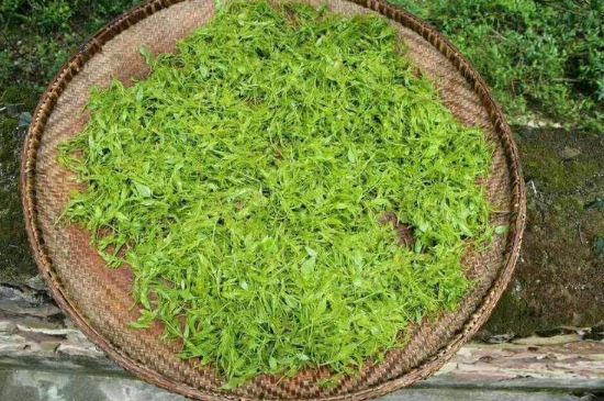 茅巖莓茶加工工藝，莓茶的工藝制作過程