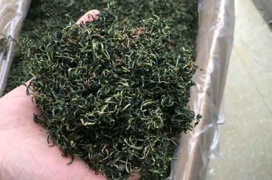 蒲公英十大搭配，蒲公英泡水搭配大全集