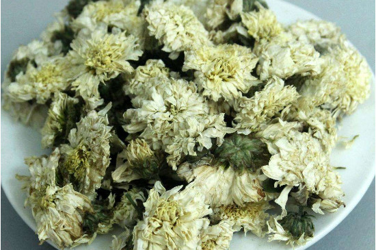 菊花茶買小朵還是大朵，泡茶用的小菊花和大菊花哪個(gè)好