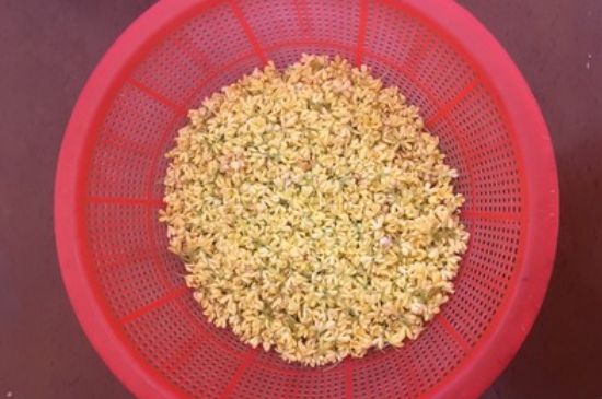 干桂花茶的制作方法，怎樣自制桂花茶？