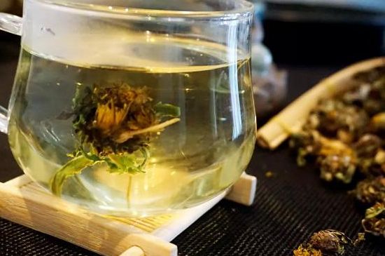 蒲公英最佳搭配，蒲公英茶和什么搭配泡水最佳