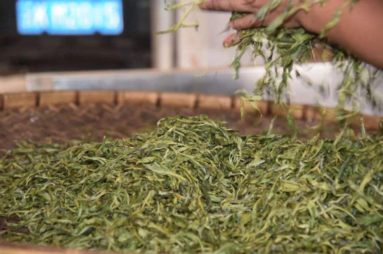 炒青綠茶與綠茶的區(qū)別，烘青和炒青哪個(gè)好喝？