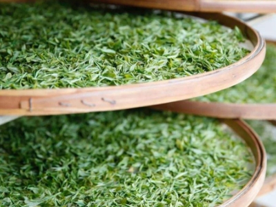 云南八大茶系分別是哪些，都是什么名字