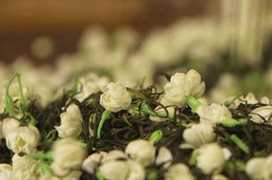 蒸茶器可以蒸花茶嗎，蒸茶器能用來(lái)蒸茉莉花茶嗎？