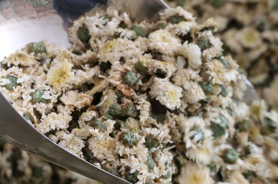 菊花茶買小朵還是大朵，泡茶用的小菊花和大菊花哪個(gè)好