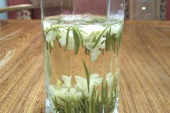 女孩喝茉莉茶的好處，茉莉茶葉的功效與禁忌