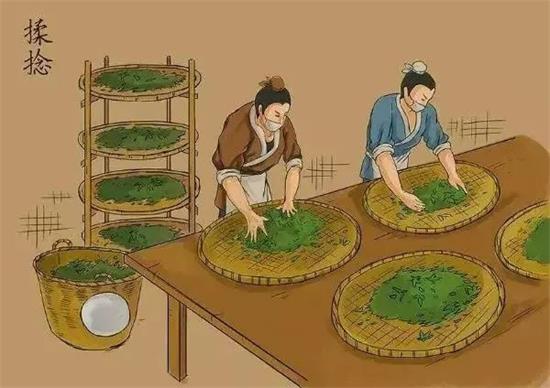 制茶八步驟，制茶工藝流程圖