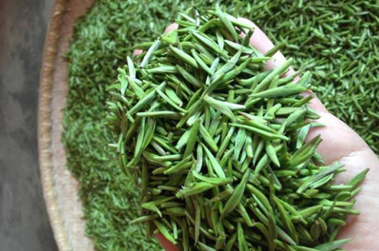 采茶的方法與步驟，如何正確采摘茶葉？