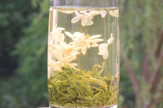 茉莉龍珠可以和什么一起泡茶，茉莉龍珠茶能加蜂蜜嗎？