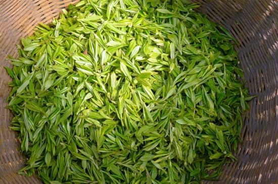 烏牛早和龍井的區(qū)別圖片，龍井43號(hào)和烏牛早茶的對(duì)比