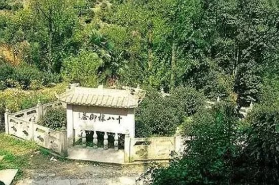 母樹大紅袍給誰喝了，為什么母樹大紅袍叫三棵六株？