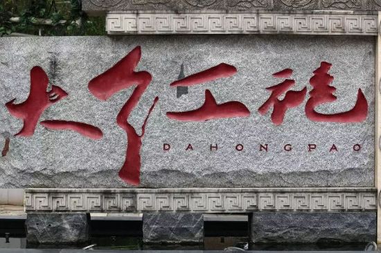 母樹大紅袍給誰喝了，為什么母樹大紅袍叫三棵六株？