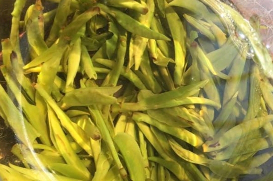 龍井是明前的好還是雨前的好，明前茶和雨前茶哪個(gè)好喝？