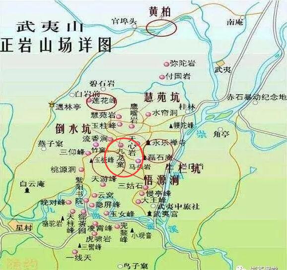 母樹大紅袍給誰喝了，為什么母樹大紅袍叫三棵六株？