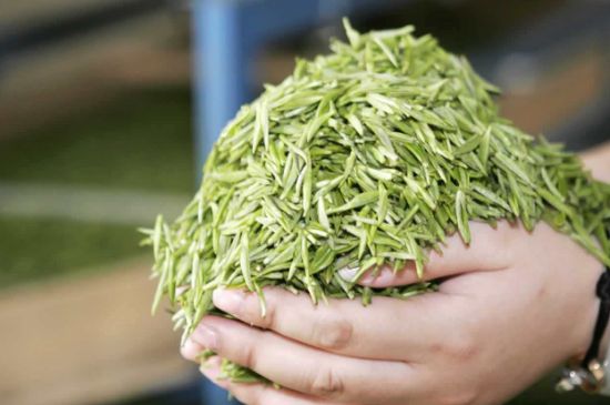 高山云霧茶屬于什么茶，高山云霧茶哪里的最好