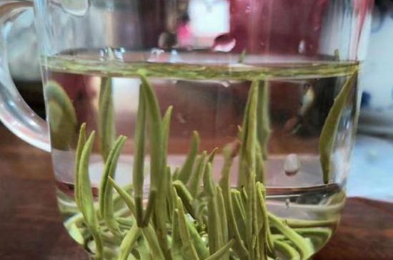 踏雪蘭妃是什么茶，踏雪蘭妃是哪里的茶葉?