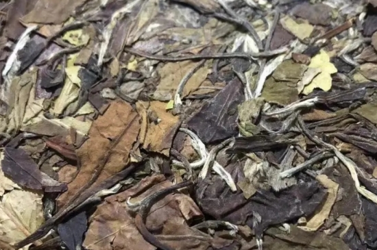 老白茶上火還是去火？夏季喝煮的老白茶會容易上火！