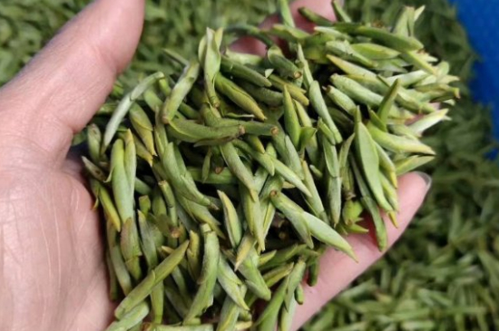 龍井茶好壞的鑒別圖片，如何區(qū)別龍井茶的好壞？