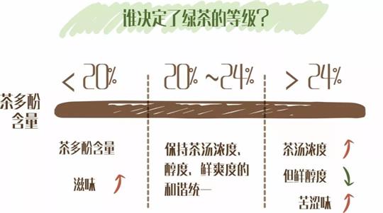 什么綠茶口味重口感濃郁，口味比較重的綠茶都有那些？