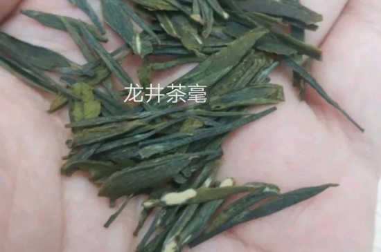 西湖龍井茶毫和發(fā)霉區(qū)別圖片，長霉的龍井茶葉會是什么樣？