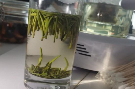 金壇雀舌算不算好茶，金壇雀舌屬于什么檔次茶葉？