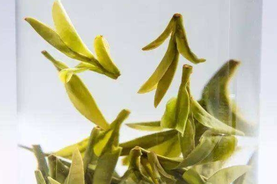 烏牛早和龍井的區(qū)別圖片，龍井43號(hào)和烏牛早茶的對(duì)比