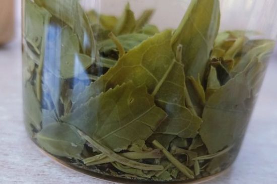 綠茶陳茶和新茶區(qū)別，綠茶怎樣區(qū)分新茶和陳茶