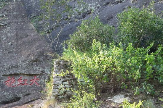 母樹大紅袍給誰喝了，為什么母樹大紅袍叫三棵六株？